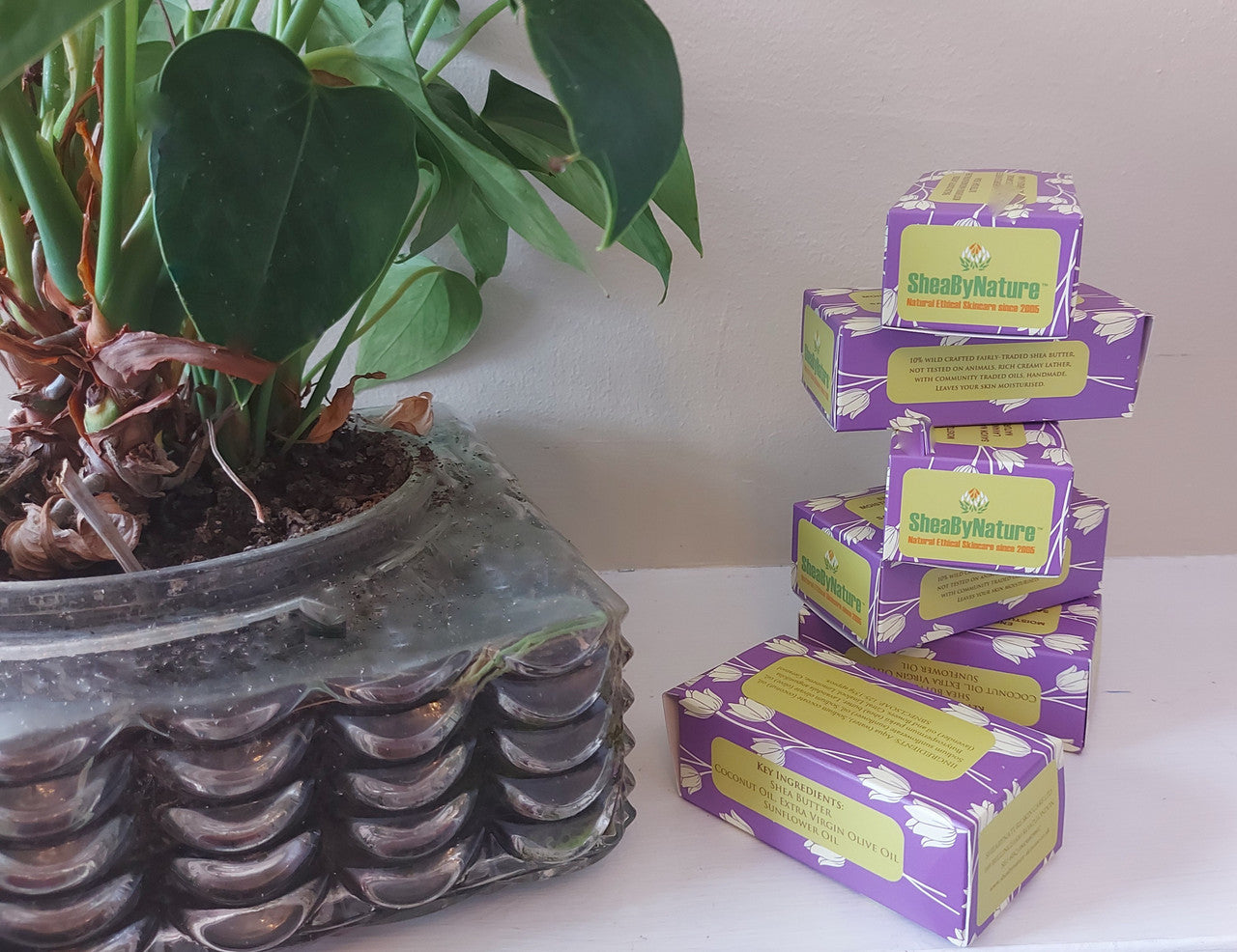 6 Bars of Country Lavender shea butter soap 